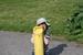 In a rather bizarre game, Bryn's the photographer, while The Monster (Dad) runs around demanding, 'Don't take a picture of me!'